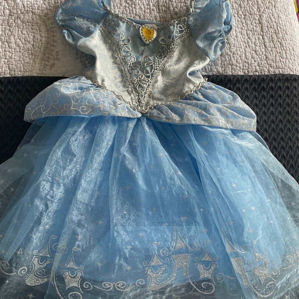 Cinderella Disneyland size 2-3 costume